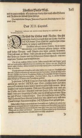 Das XII. Capittel.