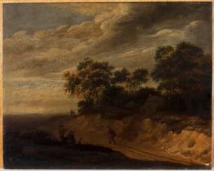 Dünenlandschaft mit Weg