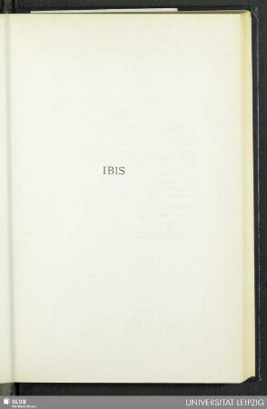 Ibis