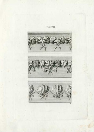 Tab. XXIII.