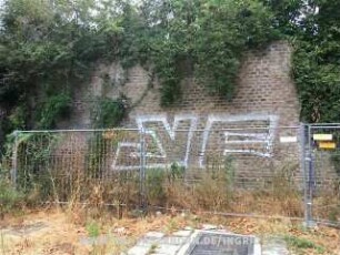 YF