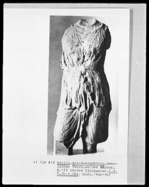 Männlicher Torso