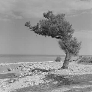 Strand am Schwarzen Meer