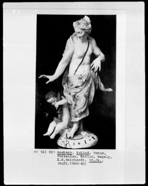 Venus