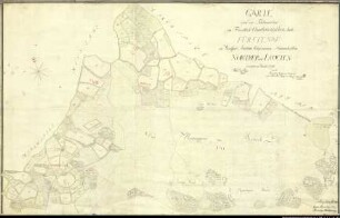 Landesaufnahme des Fürstbistums Osnabrück I Amt Bersenbrück Bl. 20 a Kirchspiele: Bersenbrück, Ankum, Badbergen Feldmarken: Nortrup, Loxten Ortschaften: Nortrup, Loxten, Teil von Groß Mimmelage Reinkarte Teil 1: Groß- und Klein Mimmelage, Wolthausen Ausf.-Art: Farbige Zeichnung auf Karton, auf Leinen aufgezogen Herst.: Johann Wilhelm Du Plat Herst.: Ernst Friedrich Du Plat, Johann Heinrich Du Plat (Direktion: Johann Wilhelm Du Plat) Format: ca. 70 x 110 cm Maßstab: 1 : 3 840