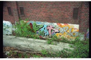 SKAt DRb