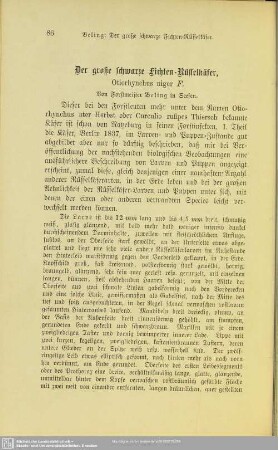 I.3 Der große Schwarze Fichten-Rüsselkäfer, Otiorhynchus niger E.