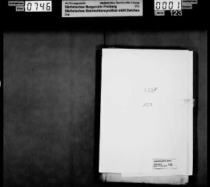 Protokolle der Gesellschafter-Versammlung der Firma William Elb GmbH in Dresden
