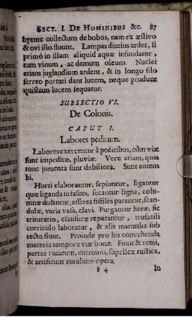 Subsectio VI. De Colonis