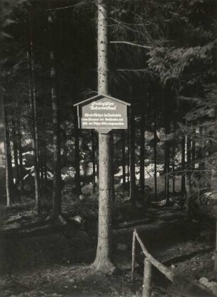 Heimatschutztafel an der Gottleuba. Geologisches Naturdenkmal. Strudellöcher im Sandstein, vom Wasser der Gottleuba von Flußgeröllen ausgewaschen