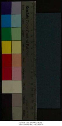 Thomae Bartholini, Joan. Henrici Meibomi[i], Patris, Henrici Meibomi[i], Filii, De Usu Flagrorum In Re Medica & Veneria, Lumborumque & Renum officio