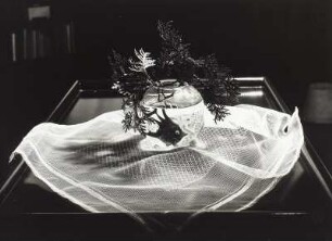 Tischdecke : Arrangement mit Tischdecke und Glasvase mit Glasfisch und immergrünen Zweigen