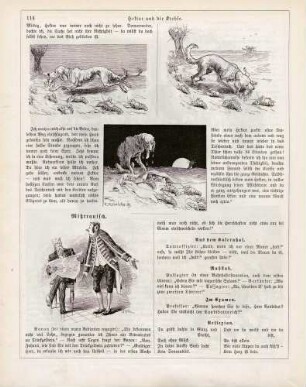 "Hektor und die Krebse" "Mißtrauisch"