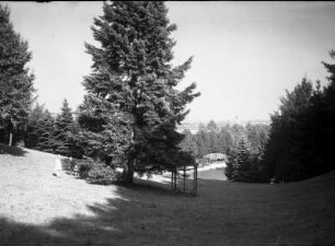 Sachsen? Parkanlage (Kurpark?). Teilansicht