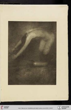 [Eduard J. [Jean] Steichen, IV. Dawn-flowers, photogravure from original negative]
