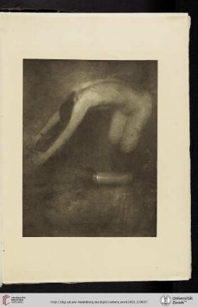 [Eduard J. [Jean] Steichen, IV. Dawn-flowers, photogravure from original negative]