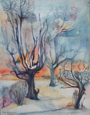 Bäume im Winter
