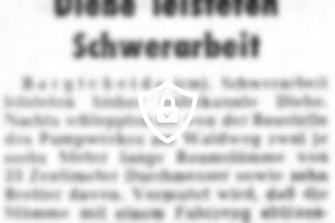Diebe leisteten Schwerarbeit