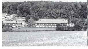 Tiergarten. Detmold