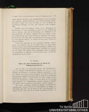 22. Kapitel. Motor mit einem Kondensator, in einem der Feldmagnetstromkreise.