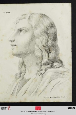 Pl. XXVII [Apostel Johannes (Schraffur; nach Poussin)]