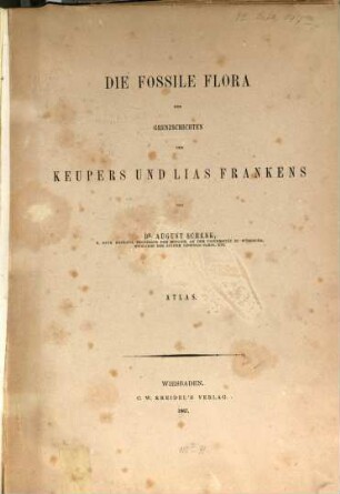 Die fossile Flora der Grenzschichten des Keupers und Lias Frankens, [2]. Atlas