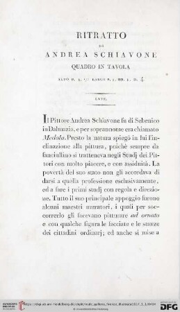 Ritratto di Andrea Schiavone