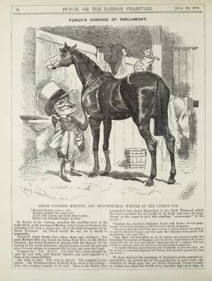 Punch's essence of parliament
