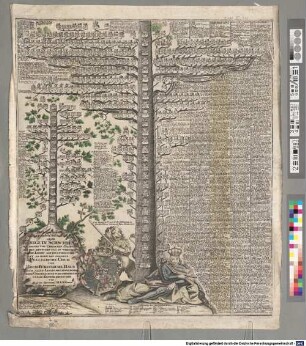 Neu Invertierter Genealogisch. Stamm Baum aller Könige in Schweden, wie solche von Uhralten Zeiten bis auf den heutigen tag in verschiedenen Linien auf einander gefolget, da dann das gesamte Pfaltzische Chur und Hoch- Fürstliche Haus nach allen Linien mit eingeführt