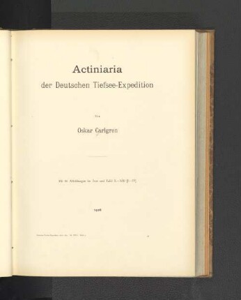 Actiniaria der Deutschen Tiefsee-Expedition.