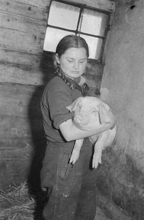 Reportage vom Volksgut Struppen : Mädchen mit einem Schwein