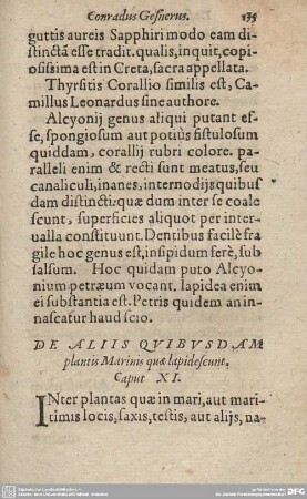 DE ALIIS QUIBUSDAM plantis Marinis quae lapidescunt. Caput XI.