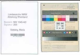 Entnazifizierung Maria Sieberg , geb. 03.07.1891 (Beamtin)