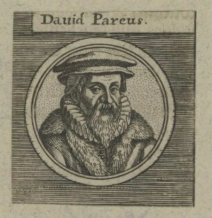 Bildnis des Dauid Pareus