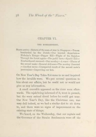 Chapter VI. The bombardment