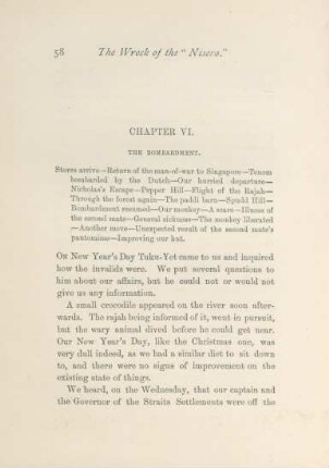 Chapter VI. The bombardment