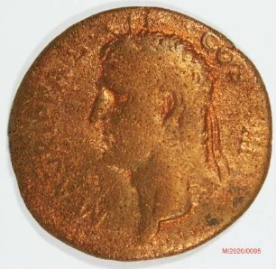 Römische Münze, Nominal As, Prägeherr Caligula für Agrippa, Prägeort Rom, Original