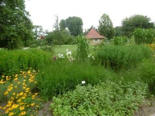 Potsdam: Freundschaftsinsel