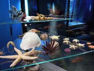 Stralsund - Ozeaneum : Aufgenommen im Ozeaneum von Stralsund am 21. April 2011