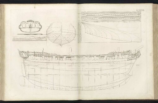Pl. XXXVII. Nr. 6.