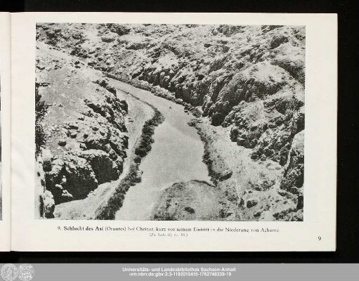 9. Schlucht des Asi