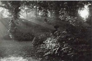 Krummes Haus, Detmold. Gartenanlage am krummen Haus mit seitlich einfallendem Sonnenlicht, aus der Sammlung Pecher