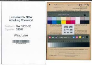 Entnazifizierung Luise Witte, geb. 28.09.1889 (Rektorin)