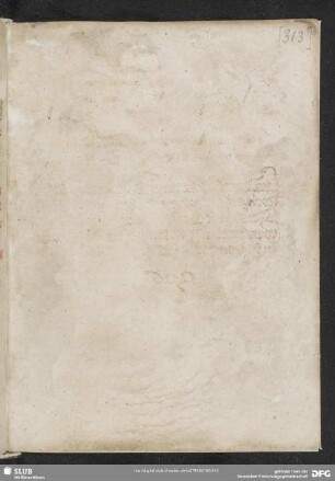 [312-2]r-313r: Leerseiten