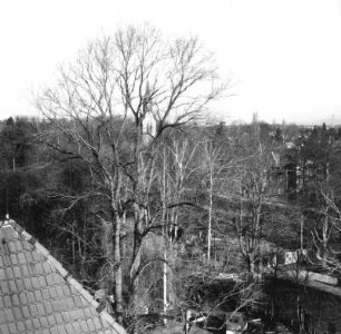 Dresden-Klotzsche. Blick nach Westen vom Turm der 82. Oberschule, Gertrud-Caspari-Straße