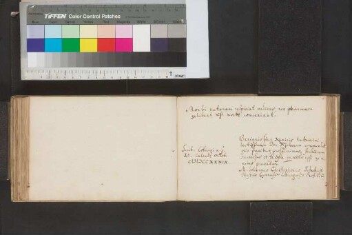 Schubart, Johann Christoph; Blatt 97