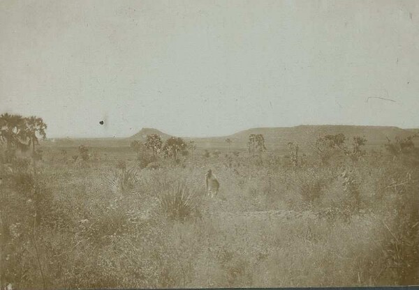 View of the Mlagarassi depression