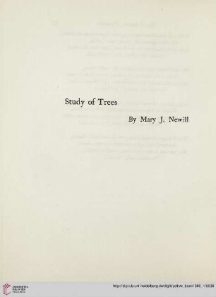 Plate: Study of Trees by Mary J. Newill