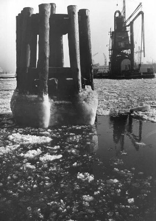 Hamburg. Der Hafen im Winter. Vereister Dükdalben im Hafenbecken. Im Hintergrund ein Getreideheber