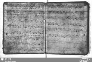 Anonymus: Audite insulae